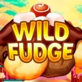 Wild Fudge