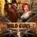 Wild Guns