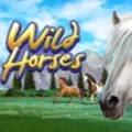 Wild Horses