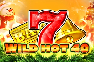 Wild Hot 40 Christmas