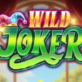 Wild Joker
