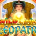 Wild Link Cleopatra