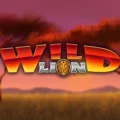 Wild Lion Super Reels