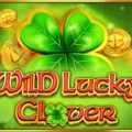 Wild Lucky Clover