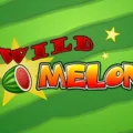 Wild Melon