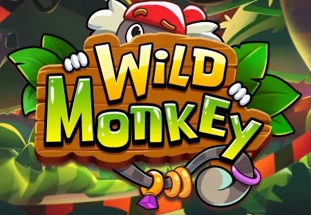Wild Monkey