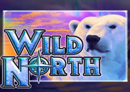 Wild North
