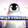 Wild Penguin