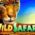 Wild Safari
