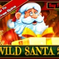 Wild Santa 2
