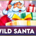 Wild Santa 3