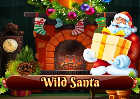 Wild Santa