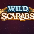 Wild Scarabs
