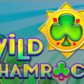 Wild Shamrock