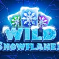 Wild Snowflakes