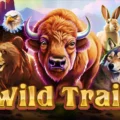 Wild Trail