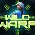 Wild Warp