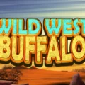 Wild West Buffalo