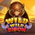 Wild Wild Bison