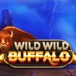 Wild Wild Buffalo
