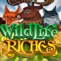 Wildlife Riches