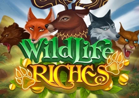 Wildlife Riches