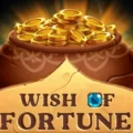 Wish Of Fortune