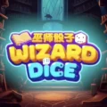 Wizard Dice