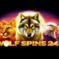 Wolf Spins 243