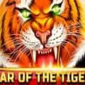 Year of the Tiger
