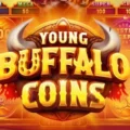 Young Buffalo Coins