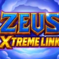 Zeus Xtreme Link